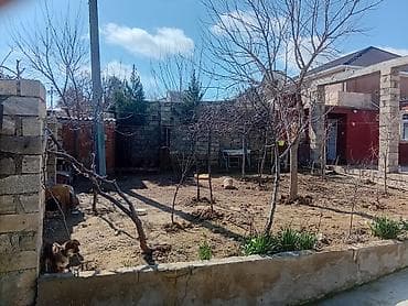 ev alqi satqisi 2024: Həyətdə iki evdi biri 5 otaq biri iki otaq həytə 3 maşn rhat — 4