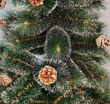 yolka sekilleri 2021: Yolka — 2