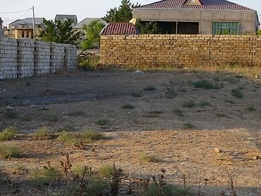 10 sot, Kənd təsərrüfatı, Mülkiyyətçi, Kupça (Çıxarış) lalafo.az -da 10 sot, Kənd təsərrüfatı, Mülkiyyətçi, Kupça (Çıxarış)