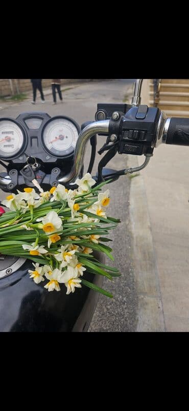 Аренда мототранспорта: Senedleri qaydasindadir — 2