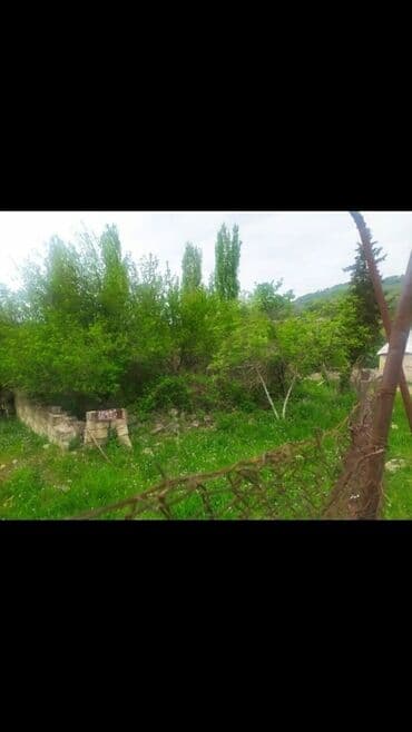 torpaq lokbatan: Yaşıl otlar və müxtəlif ağaclarla örtülmüş, yamaclı ərazidə yerləşən — 3