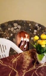 снять дом баку: 90 м², 3 комнаты, Газ, Электричество, Водопровод — 11