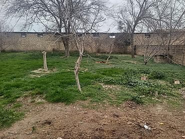 İnkubatorlar: Quşçuluq təsərrüfatı üçün hazır obyekt Hazir biznes kimi — 6