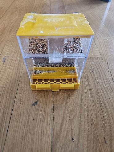 quş üçün qəfəs: Bala verməyə hazırlaşan muhabbət quşları. Sağlamdırlar və aktiv — 4