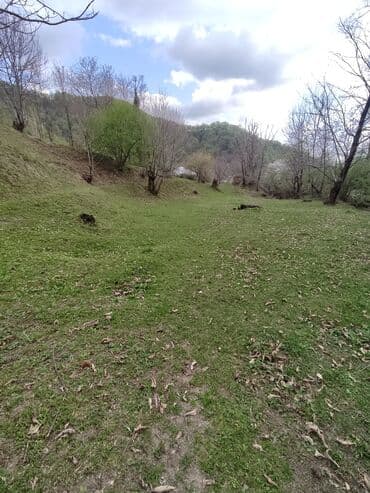 cennet park musfiq qesebesi: Satılır: təbiət qoynunda yaşıllıqla əhatələnmiş torpaq sahəsi — 2