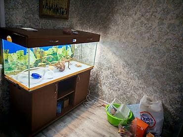akvarium balik: Akvaryum və şkaf dəsti(130x50x50) Şüşə 10-luqdur, şkafın qapağıda var — 2