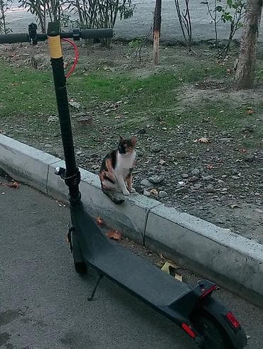 mi skuter: Bu tünd boz elektrik skuter şəhər gəzintiləri və qısa məsafələr üçün — 1