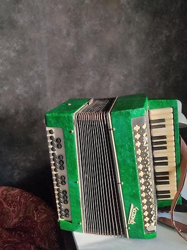 akardion: Akustik Akkordeon — 2