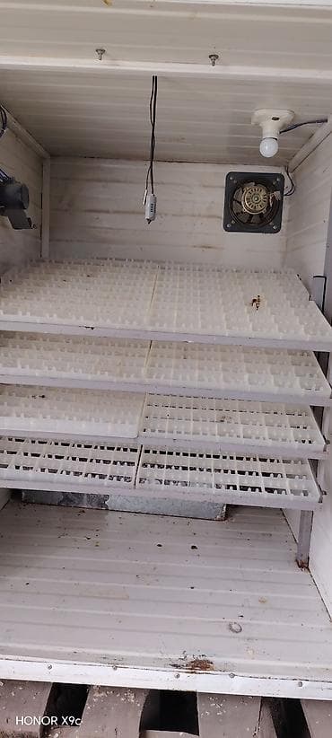 600 yumurta, Bütün növ quşlar üçün lalafo.az -da 600 yumurta, Bütün növ quşlar üçün