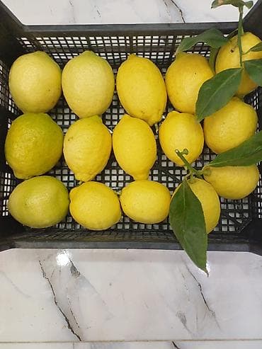 Cox dadli limonlar satlsda