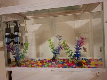 hava matoru: Akvaryum komplekti - Şüşə akvaryum, üst və alt dekorativ ağ — 2