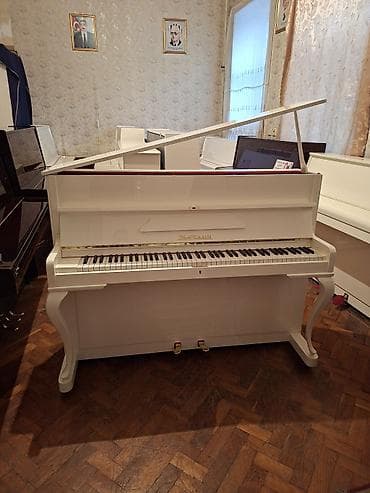 Piano, Zimmermann, Akustik, Yeni, Pulsuz çatdırılma
