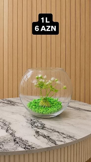 Yumru akvarium, 1 l, Ünvandan götürmə, Pulsuz çatdırılma, Ödənişli çatdırılma