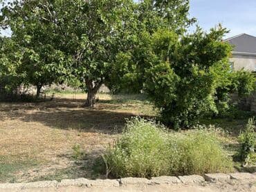 yeni yasamalda kiraye evler 2024: 2 otaqlı, 1000 kv. m, Kredit yoxdur, Orta təmir — 1