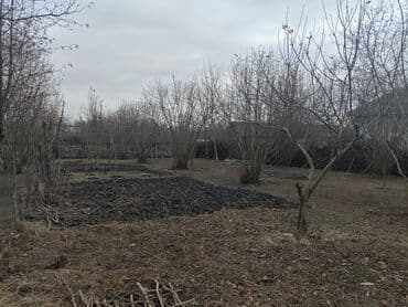 kirayə evler azadliq: Kənd təsərrüfatı — 4