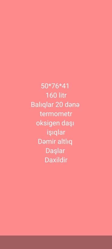 skat baligi: Dördbucaq akvarium, Balıqlarla birlikdə, 160 l — 3