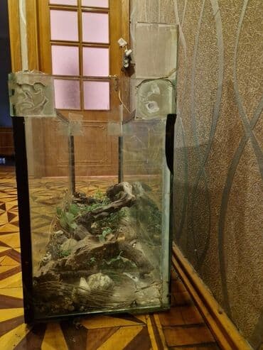 canlı yem: Şüşə terrarium/akvarium - Material: qalın şüşə, metal/plastik künc — 5
