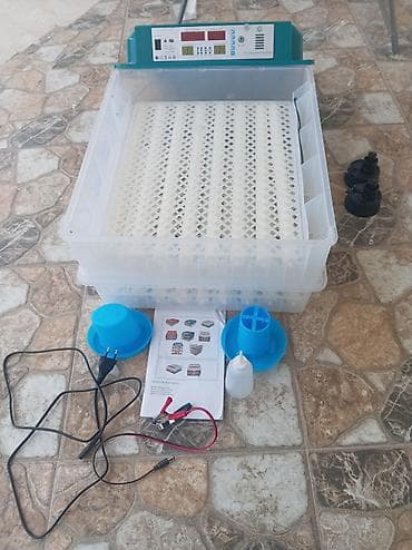 Оборудование для производства: Полностью автоматическая — 5