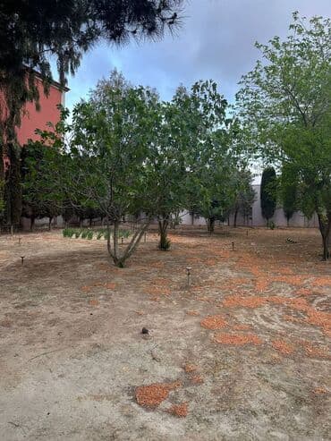 kiraye evler 250 300 manat bileceri: 160 kv. m, 4 otaqlı, Kombi, Qaz, İşıq — 15