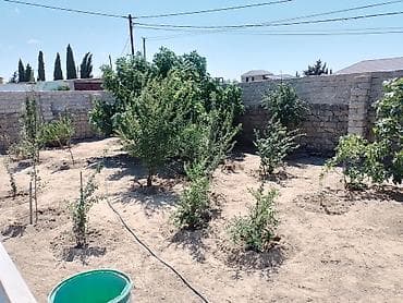 ismayıllı günlük ev: Digah, 80 kv. m, 4 otaqlı, Hovuzsuz, Qaz, İşıq, Kanalizasiya — 9