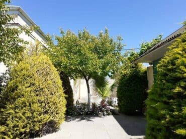 снять дом в исмаиллы: 250 м², 5 комнат — 1