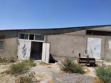 torpaa: Tikinti, Mülkiyyətçi, Kupça (Çıxarış) — 2