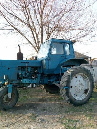 traktor altlıqlı qış çəkmələri: Трактор Belarus (MTZ) 80, 1986 г., 80 л.с., мотор 8.8 л, Б/у — 3