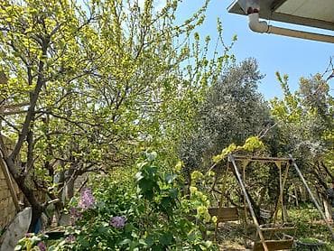 qax a frame: Masazır 4 otaqlı, 130 kv. m — 5