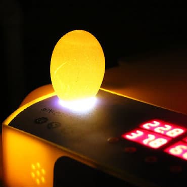 İnkubatorlar: Çin, Bütün növ quşlaq üçün, Tam avtomat, Zəmanət ilə — 2