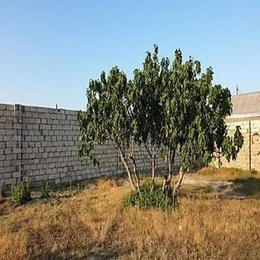 18 sot, Tikinti, Maklerlər narahat etməsin, Kupça (Çıxarış) — 1