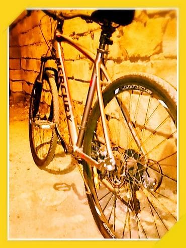 16 lıq velosiped: Mercury hibrid/mtb tipli velosiped - Brend: Mercury - Çərçivə: yüngül — 6