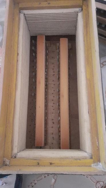 elektron gitara yolana: Sədəf naxışlı qarmon satılır. Korpus qara laklıdır, üzərində sədəf — 6