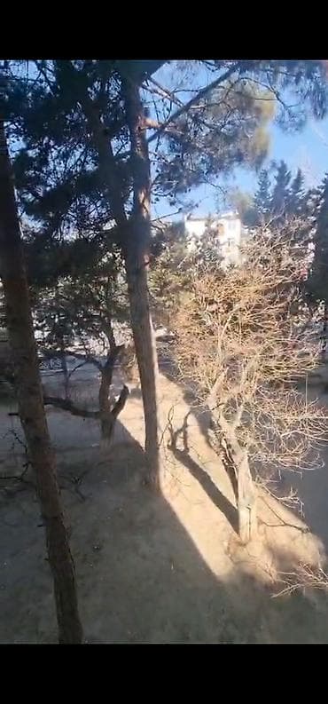 Azadlıq prospektində,Neftçi bazasının sırasında,Stalin layihəli5/2 — 9