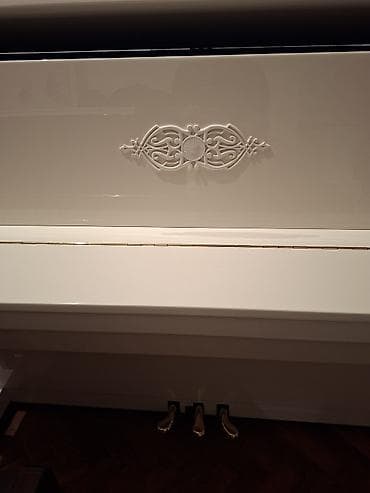 dinamik dayağı: Piano, Akustik, Yeni, Pulsuz çatdırılma — 4