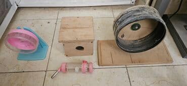 клетка для хомяков: Ev heyvanları üçün bir neçə əşya dəsti. Dəstə qaçış çarxı, içməli qab — 3