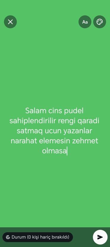 heyvanlara verilən adlar: Pudel, 2 ay, Erkek — 1