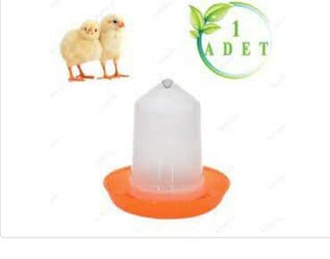 ördek qaz: Suluk 
Su qabları 
Hind quşu 
Broyler 
Ördək 
Yeni — 2