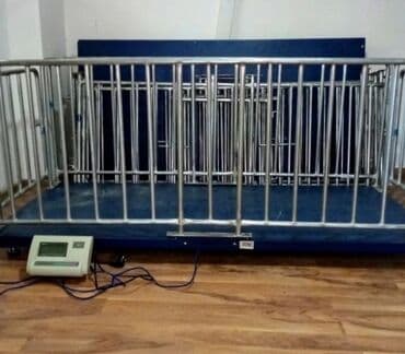 Tərəzi (Qapan), Nağd ödəniş