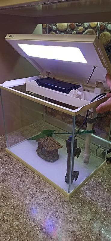 Dördbucaq akvarium, Boş, 31 l