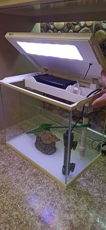 Gəmiricilər: Dördbucaq akvarium, Boş, 31 l — 2