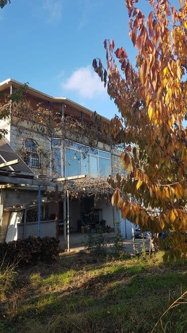 ucuz hotel: 1000 sot, Kənd təsərrüfatı, Makler, Kupça (Çıxarış) — 1