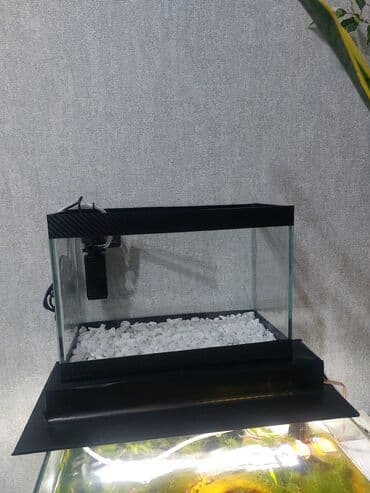 компрессор для аквариума бишкек: Ölçü 30×20×15

Ev və ofis üçün estetik, baxımı asan mini akvaryum — 5