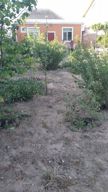 guven emlak mingecevir: Buzovna vişnovka .Tam dolu satlir eşyalarla birlikde — 12