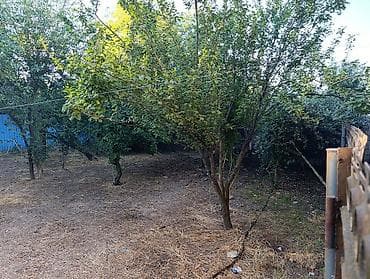 4 otaqlı ev: 6 otaqlı, 200 kv. m, Kredit yoxdur, Yeni təmirli — 7