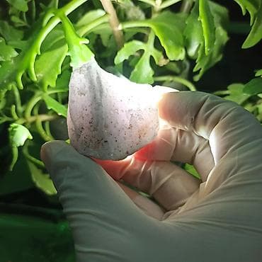 das pec: Təbii Kvars Daşı Satılır – Süd, Duman və Çəhrayı Kvars | Original — 9