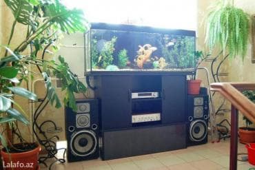heyvanlar: Akvarium-şkaf, 1000 l — 6