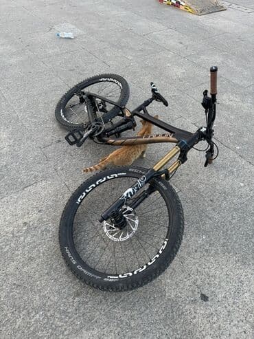 isma tornado 9.7 carbon: Radon swoop 175 9.0 2015 il Sistem - sram xo Arxa amort - rock — 1