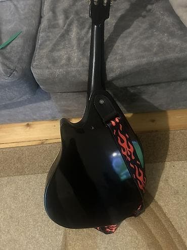 CD, DVD disklər və kassetlər: Elektro-ud (fretless) – kəsimli gövdəli model Xüsusiyyətlər: - 11 — 2