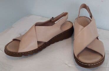 Физика: Размер: 41, Новый — 2