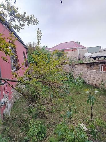 bineqedi ucuz heyet evleri: 1 mərtəbəli həyət evi - Plan: Eyvanlı giriş, 1 mərtəbə, 4 otaqlı 3 — 6